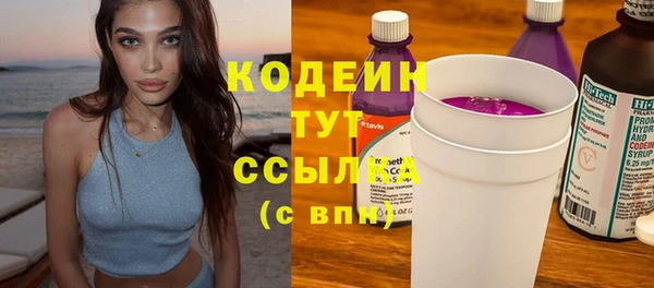 гидра Верея
