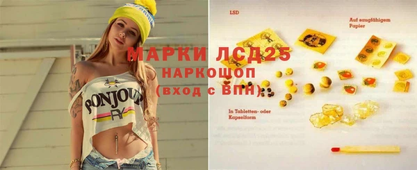 гидра Верея