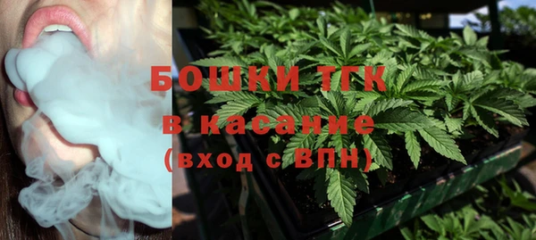 шишки Богданович
