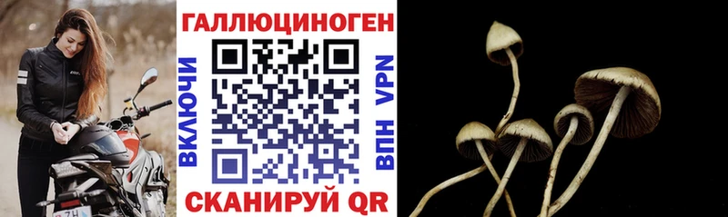 Галлюциногенные грибы мухоморы  Купить где  Кораблино 